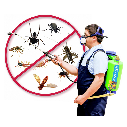 Pest Control Services In Bangalore